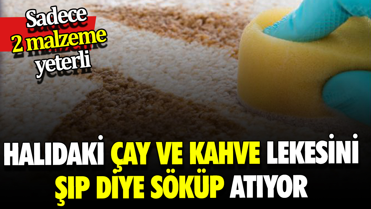 Halıdaki çay ve kahve lekesini şıp diye söküp atıyor Sadece 2 malzeme yeterli