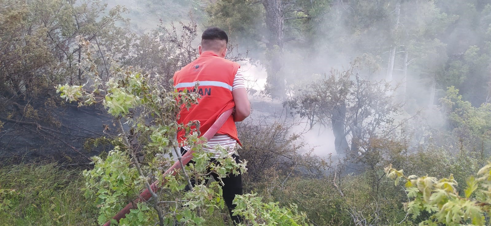 Manisa'da orman yangını büyümeden önlendi