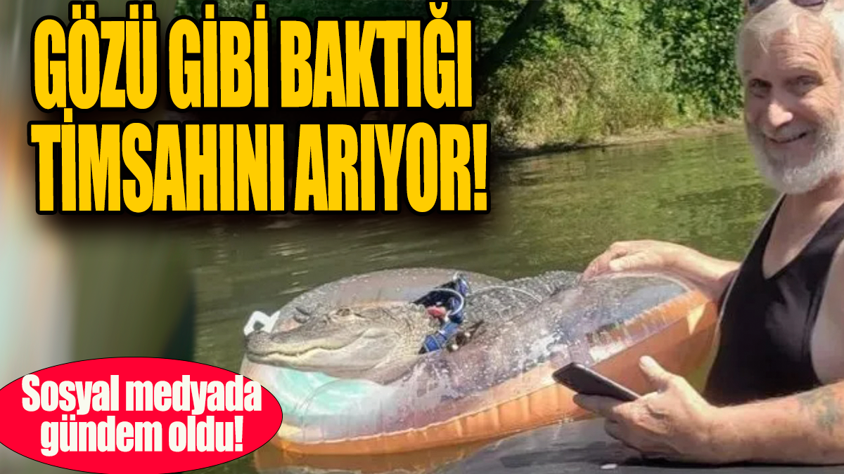 Gözü gibi baktığı timsahını arıyor: Sosyal medyada gündem oldu