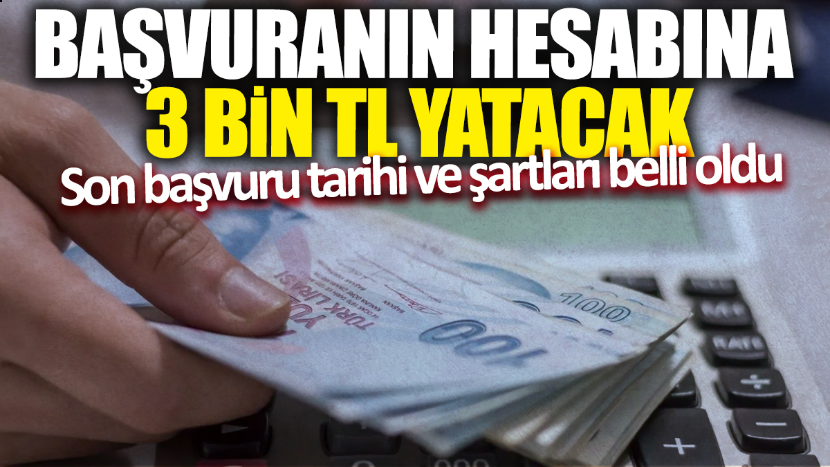 Başvuranın hesabına 3 bin TL yatacak! Son başvuru tarihi ve şartları belli oldu