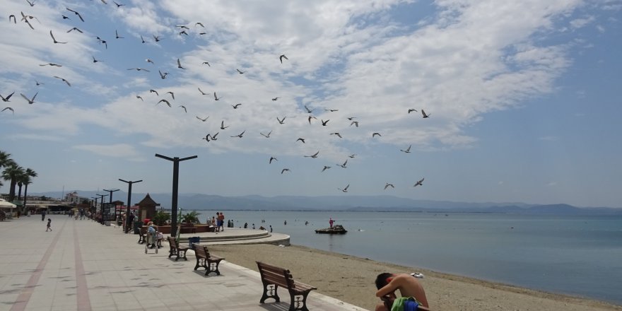 Sahiller boş kaldı, seçimlere katılım yoğun olacak
