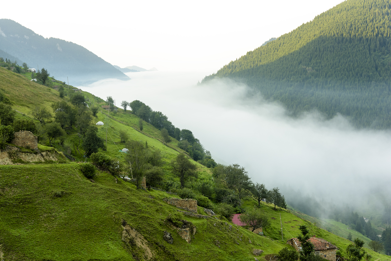 Doğu Karadeniz yaylalarına göç başladı