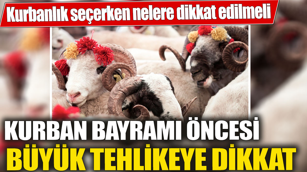 Kurban Bayramı öncesi büyük tehlikeye dikkat! Kurbanlık seçerken nelere dikkat edilmeli