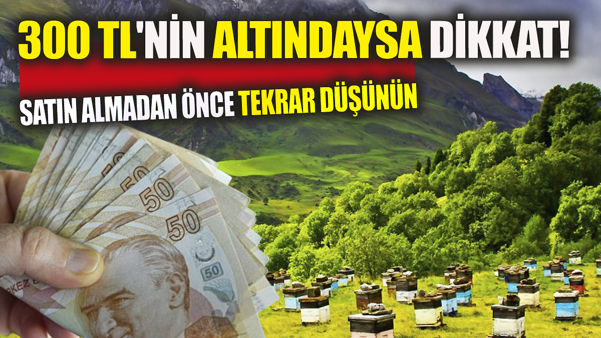 300 TL'nin altındaysa dikkat!  Satın almadan önce tekrar düşünün