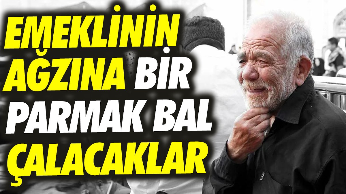 SGK Uzmanı Ali Tezel: Emeklinin ağzına bir parmak bal çalacaklar