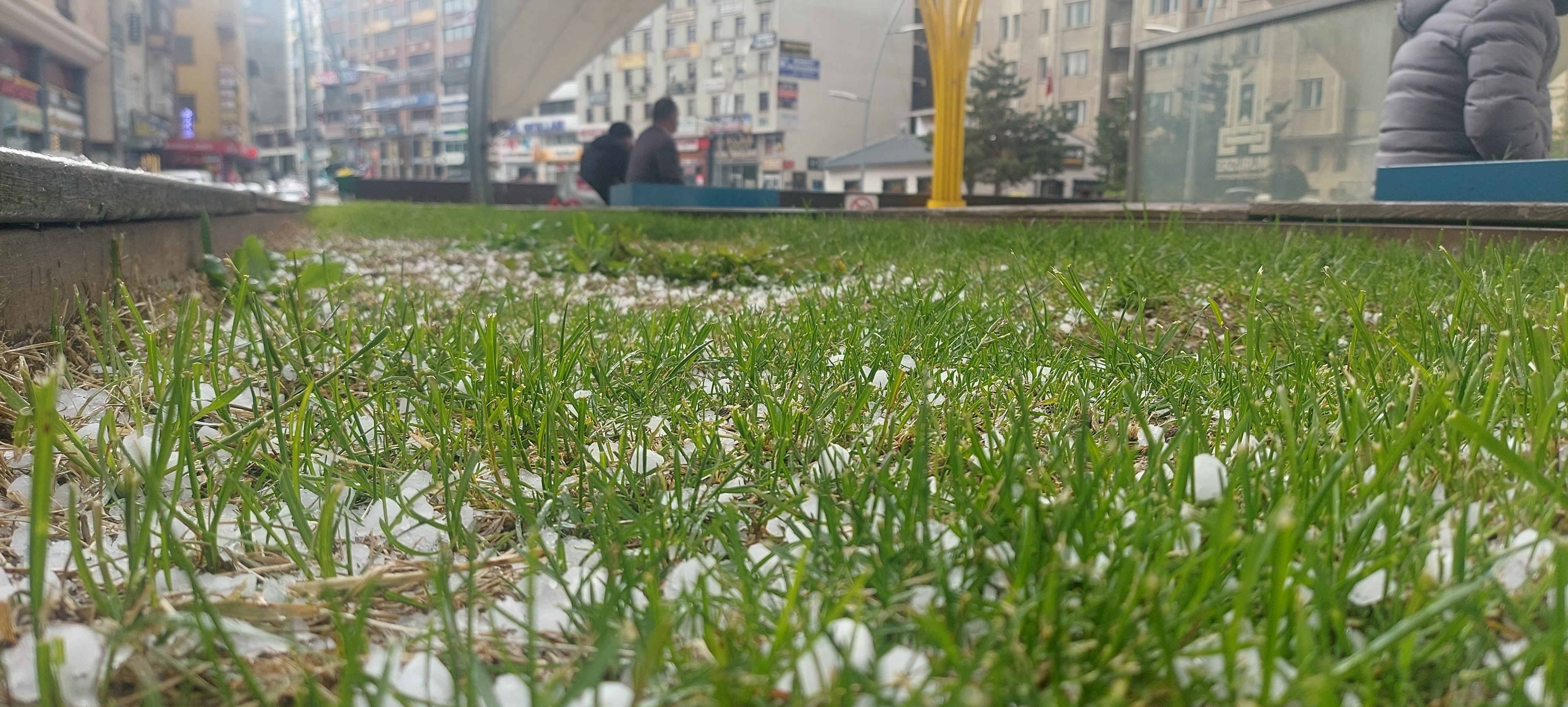 Erzurum’da dolu yağışı etkili oldu