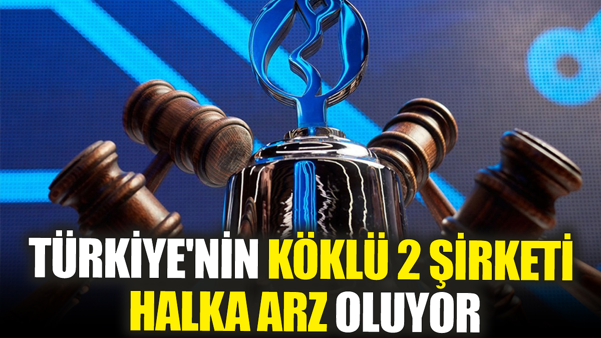 Türkiye'nin köklü 2 şirketi halka arz oluyor