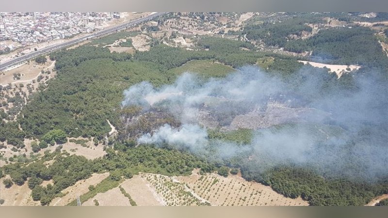 Buca ormanında yangın!