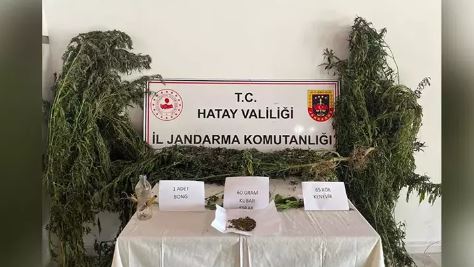 Hatay’da uyuşturucu operasyonu: Gözaltılar var