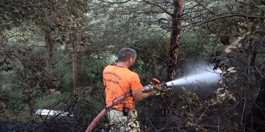 Sultangazi Kent Ormanı'nda yangın