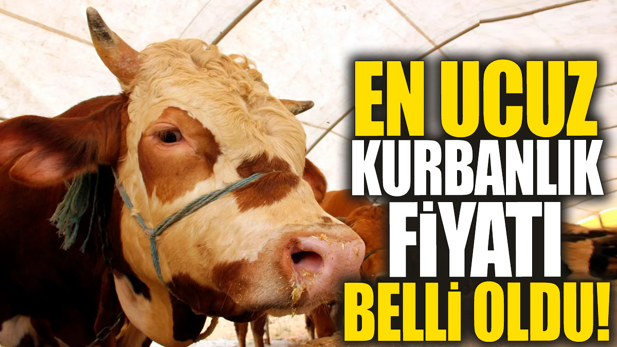 En ucuz kurbanlık fiyatı belli oldu!