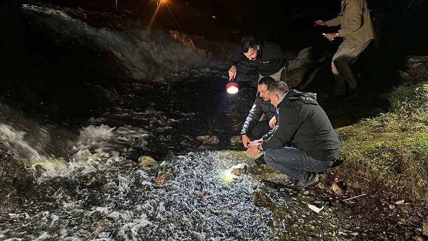 Van'da jandarma ekiplerin gece inci kefali nöbeti