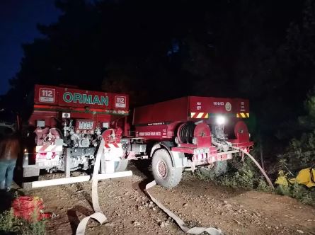 Balıkesir'de orman yangınında 1 hektar alan zarar gördü