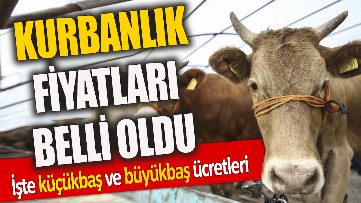 Kurbanlık fiyatları belli oldu: İşte küçükbaş ve büyükbaş ücretleri