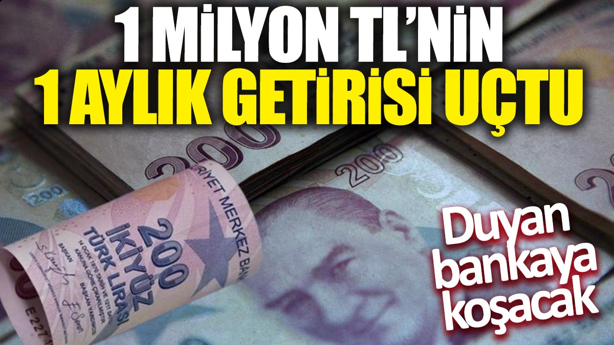 1 milyon TL'nin 1 aylık getirisi uçtu 'Duyan bankaya koşacak'