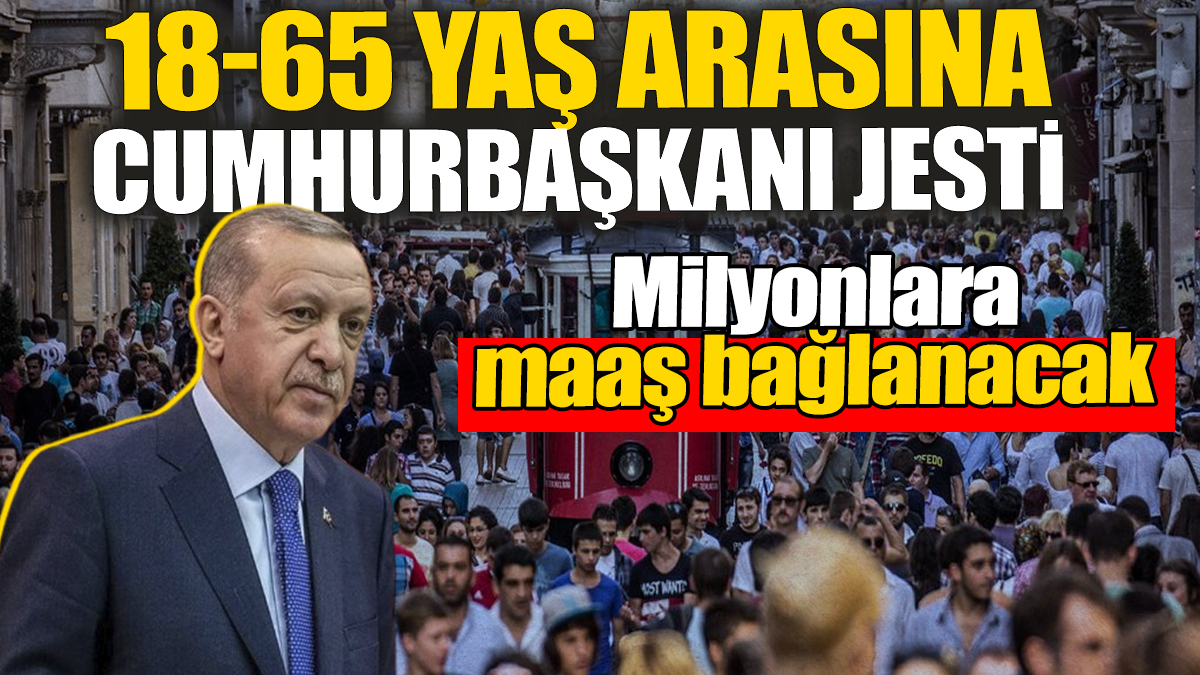 18-65 yaş arasına Cumhurbaşkanı jesti: Milyonlara maaş bağlanacak