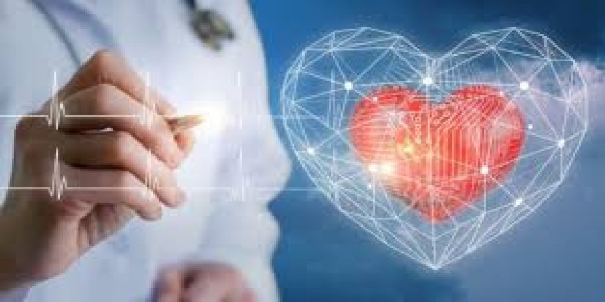 Kalp yaması insanlarda denenecek