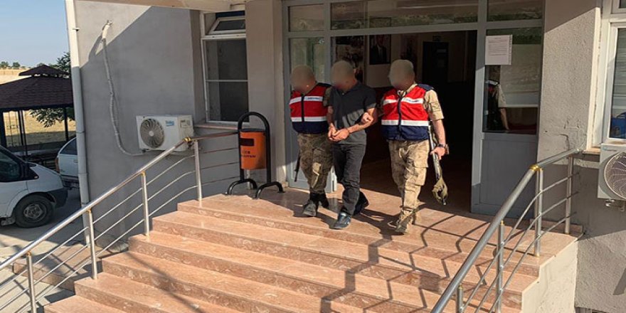 'Şahin' Lice'de yakalandı