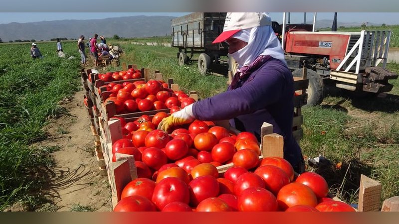 İade edilen gıdalar vatandaşa mı yediriliyor?
