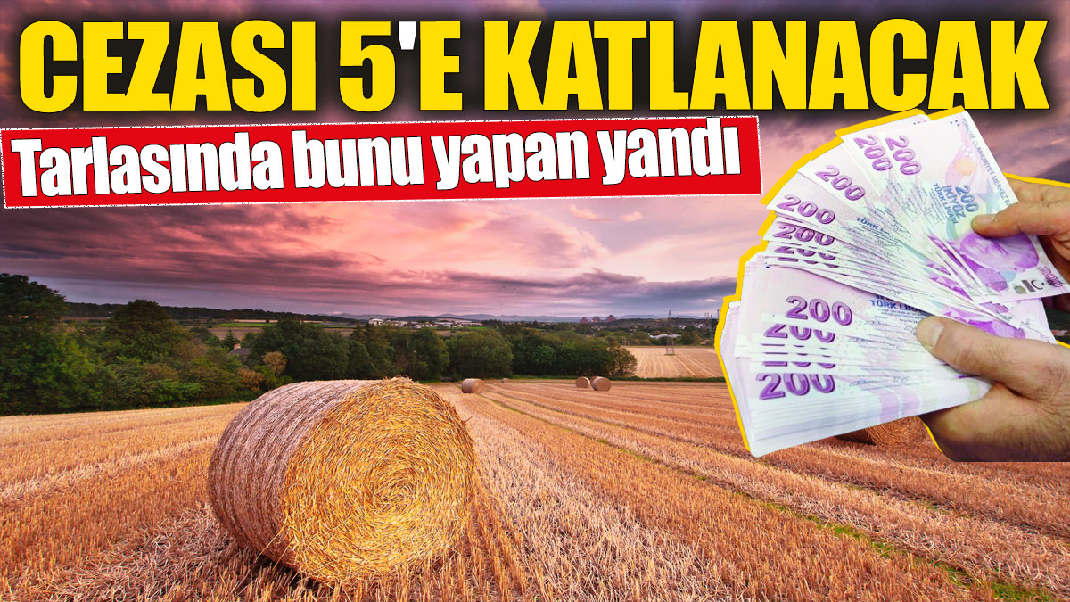 Tarlasında bunu yapan yandı! Cezası 5'e katlanacak