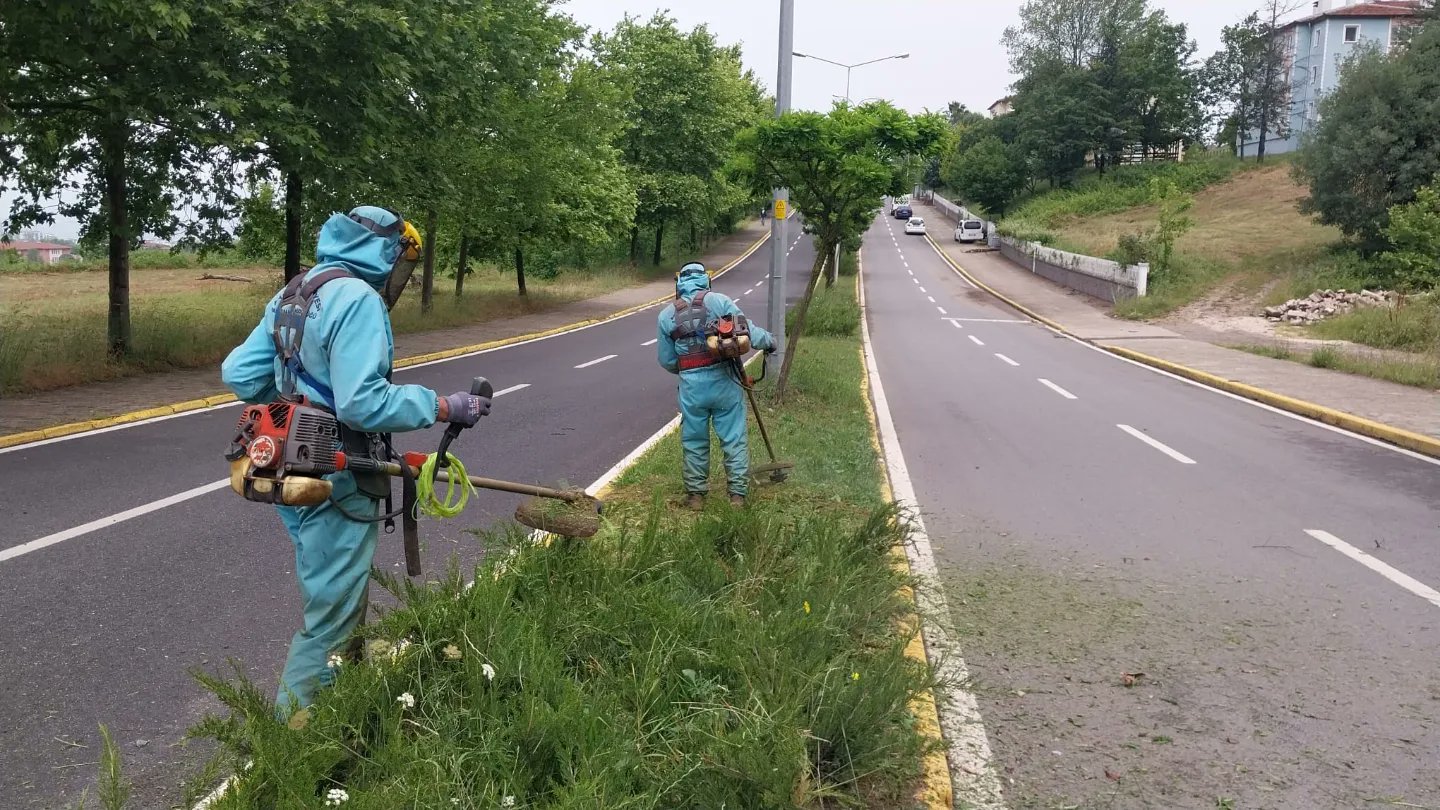 Kocaeli Başiskele'de peyzaj çalışmaları