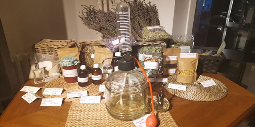 Doğal tıbbi aromatik bitkilere ilgi artıyor