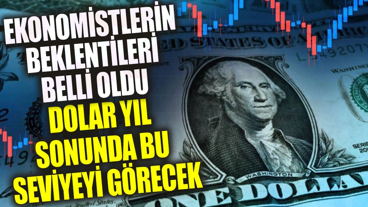 Ekonomistlerin beklentileri belli oldu: Dolar yıl sonunda bu seviyeyi görecek