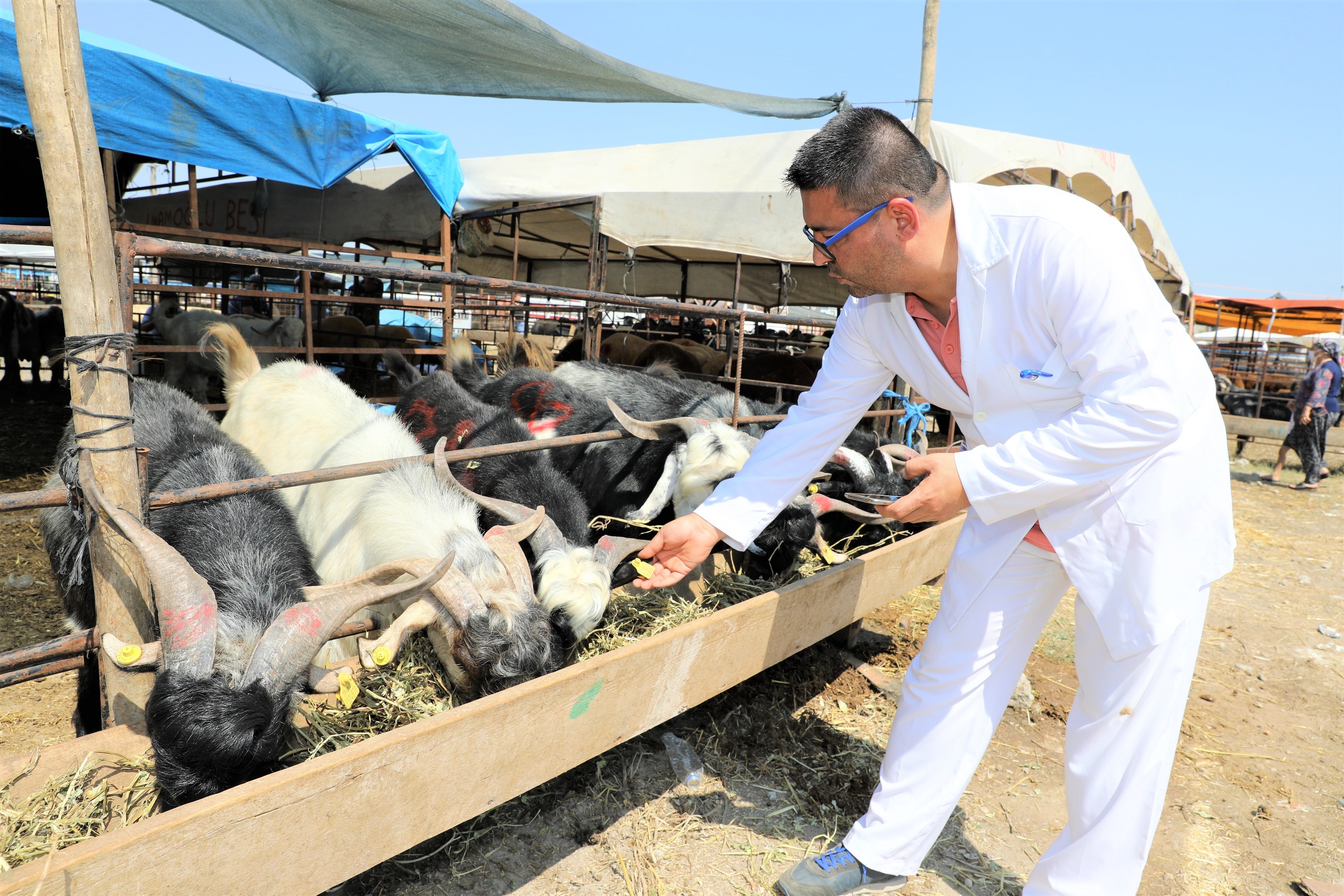 Adana Yüreğir’de kurban satış ve kesim yerleri belli oldu