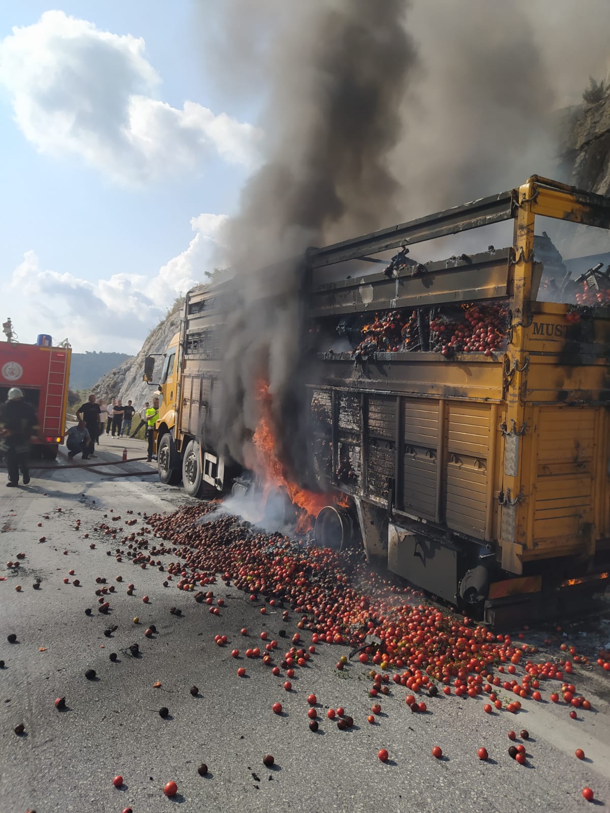 Domates yüklü kamyon yandı