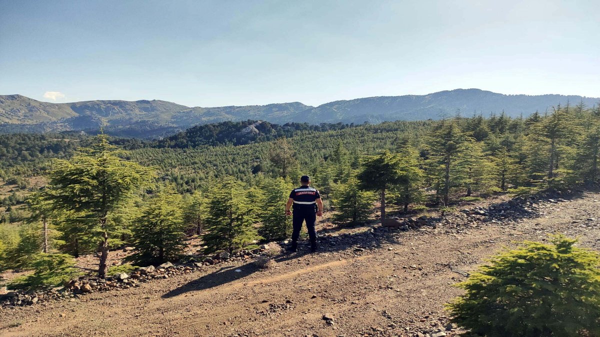 Muğla'da ormana girişler yasaklandı