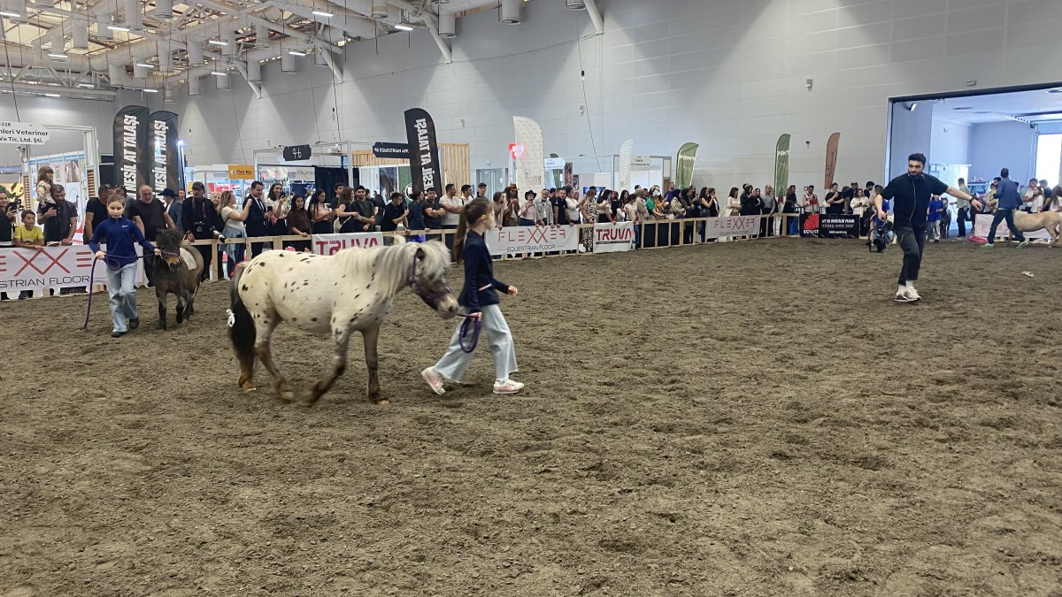 Güzellik yarışmasında kalp krizi geçiren at öldü