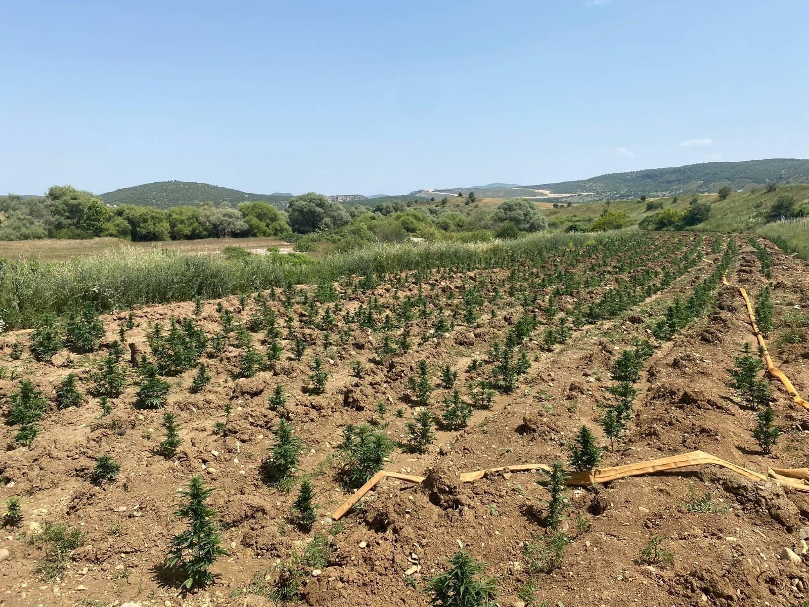 Diyarbakır’da PKK'ya ağır darbe