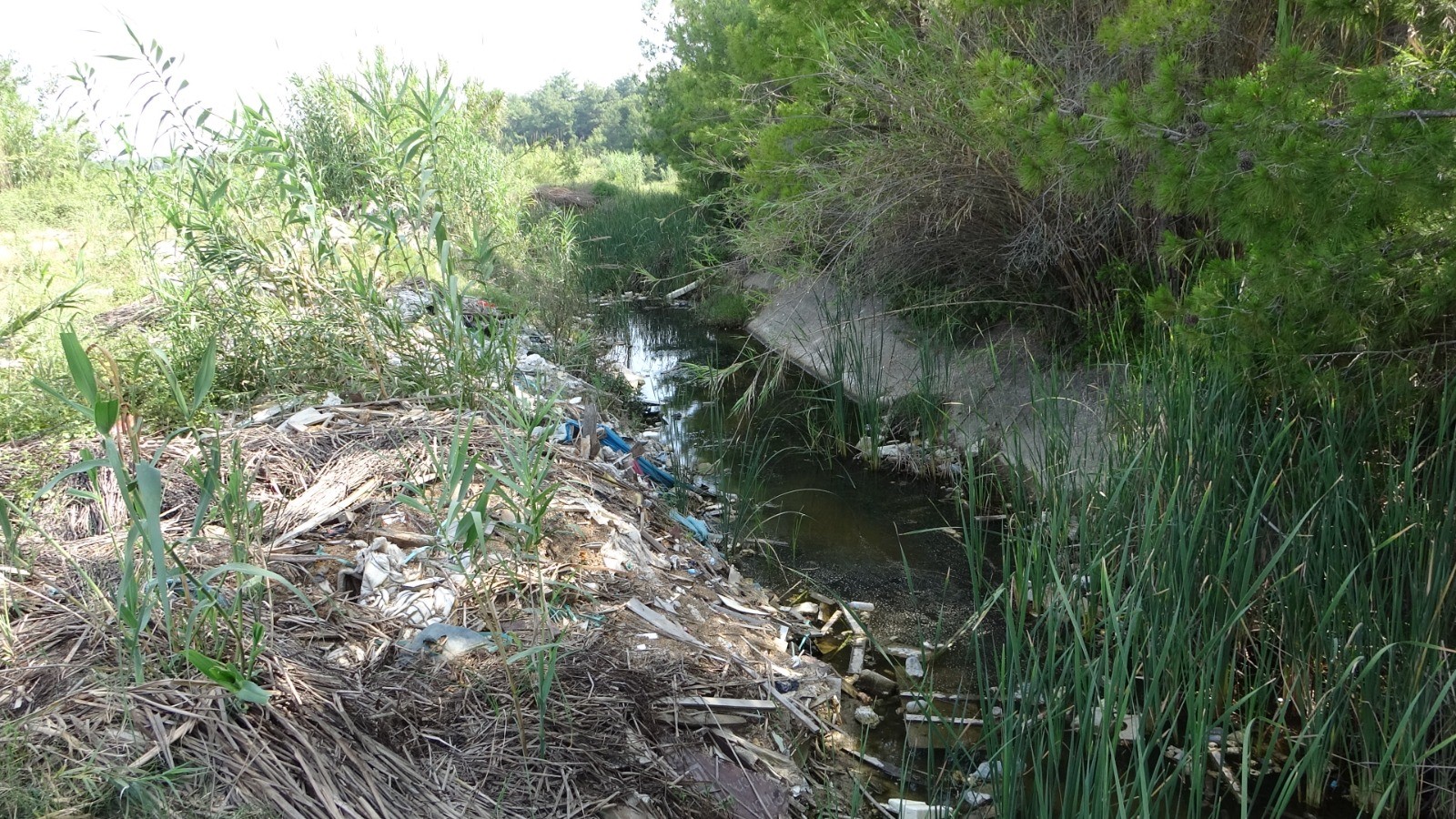 Antalya'da sulama kanalı çöplüğe döndü