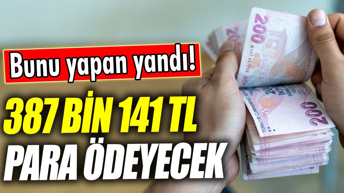 Bunu yapan yandı! 387 bin 141 TL para ödeyecek