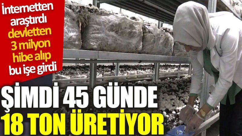 İnternetten araştırdı, devletten 3 milyon hibe alıp bu işe girdi:  Şimdi 45 günde 18 ton üretiyor