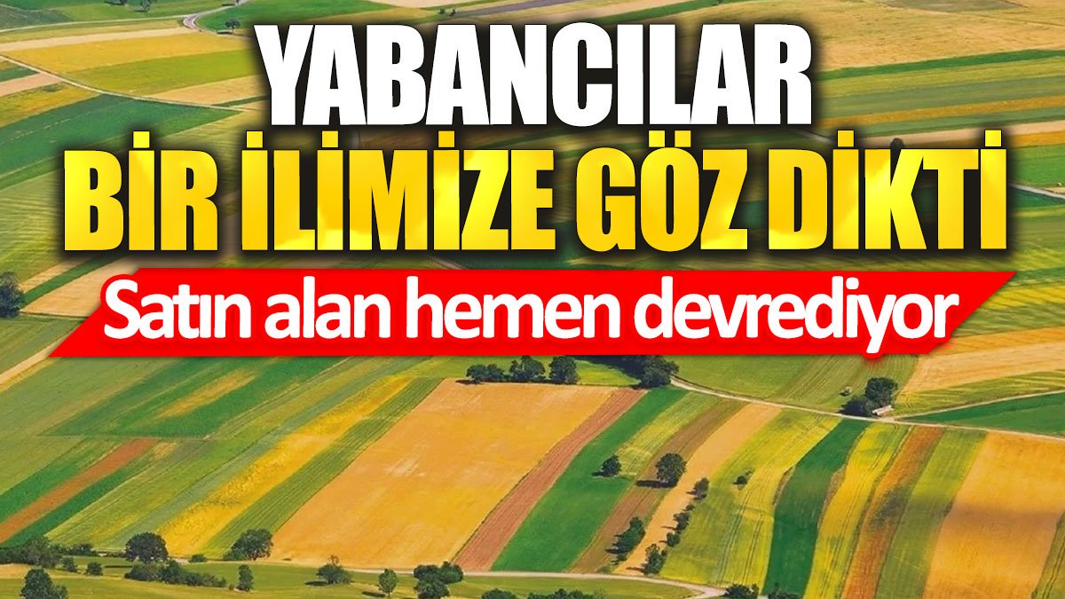 Yabancılar bir ilimize göz dikti: Satın alan hemen devrediyor