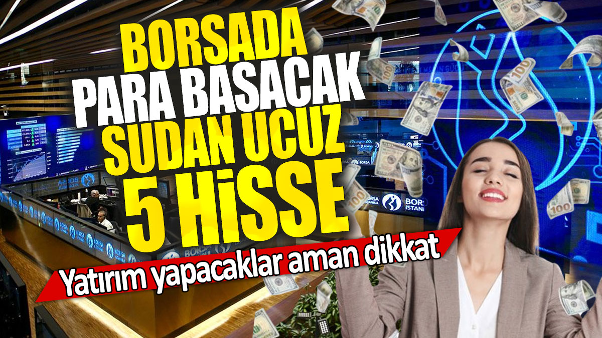 Borsada para basacak sudan ucuz 5 hisse: Yatırım yapacaklar aman dikkat