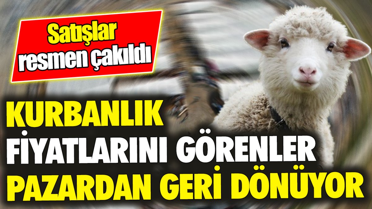 Kurbanlık fiyatlarını görenler pazardan geri dönüyor ‘Satışlar resmen çakıldı’