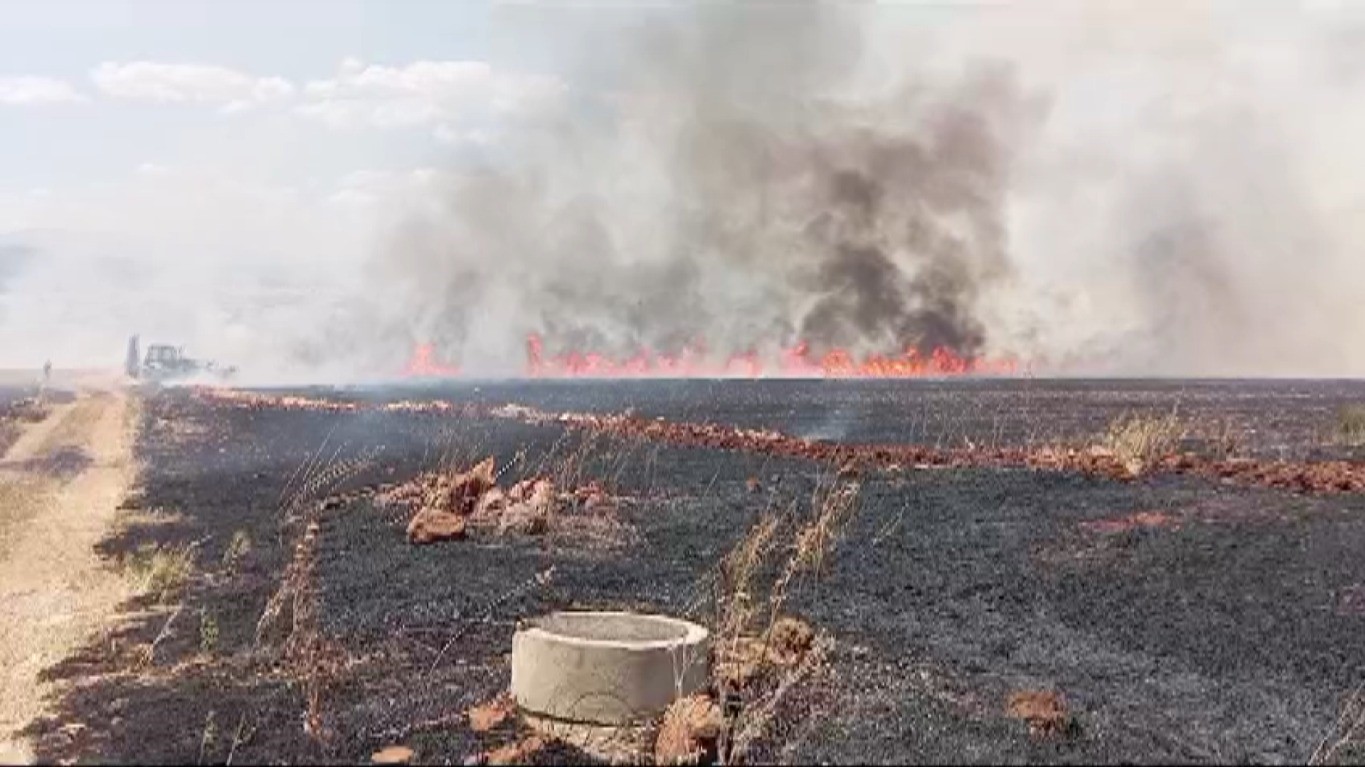 Kahramanmaraş'ta buğday tarlasında yangın