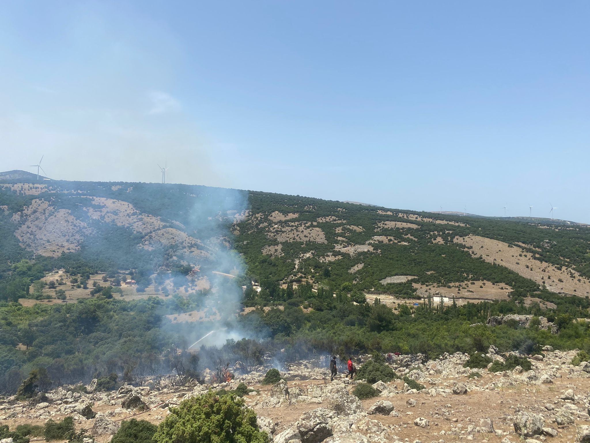 Çanakkale'de yangın