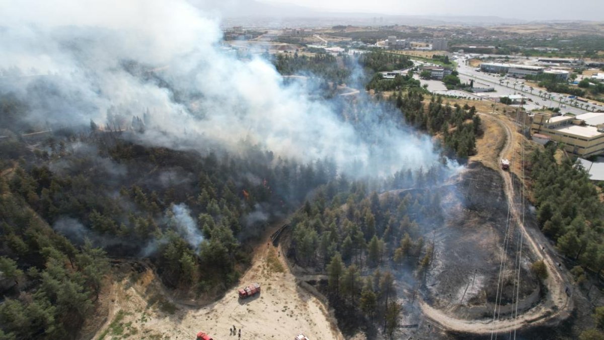 Denizli’de yerleşim yerlerine yakın bölgede orman yangını