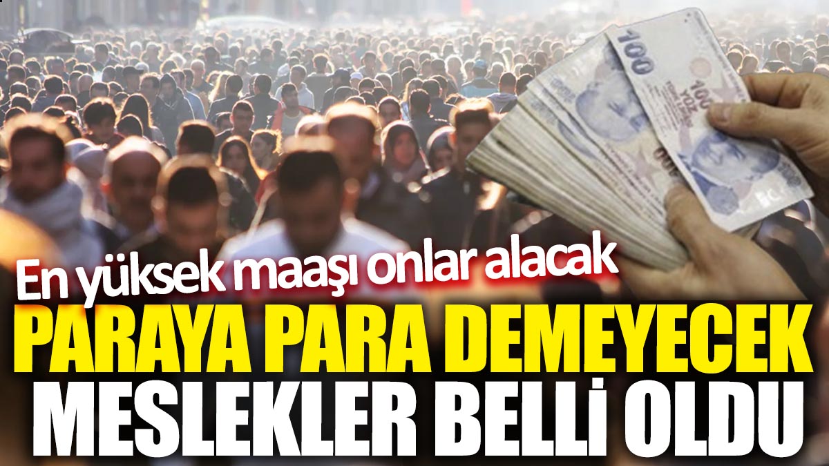 En yüksek maaşı onlar alacak! Paraya para demeyecek meslekler belli oldu