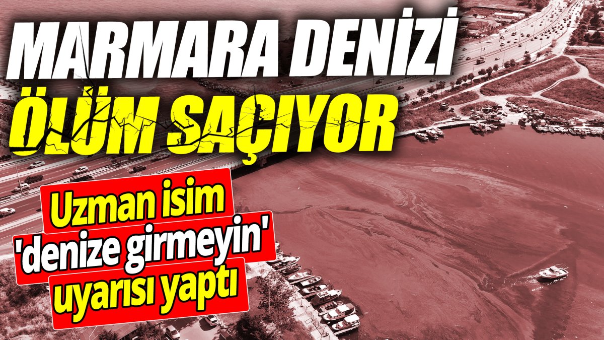 Marmara Denizi ölüm saçıyor! Uzman isim 'denize girmeyin' uyarısı yaptı