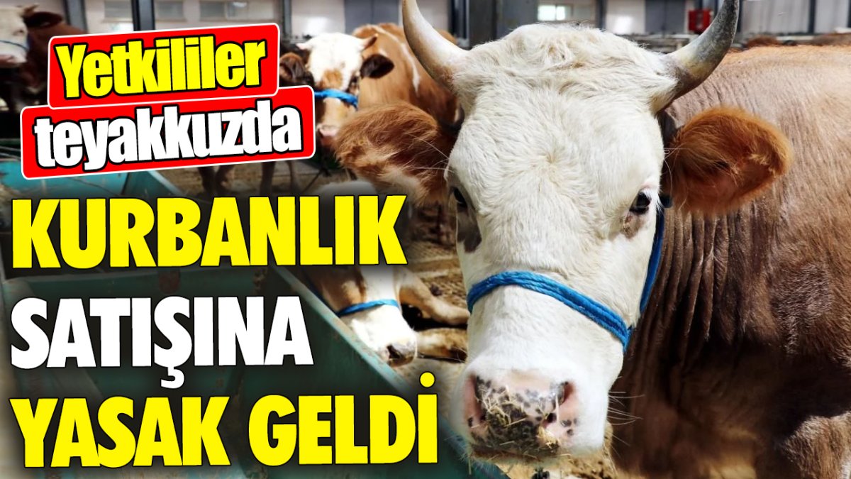 Kurbanlık satışına yasak geldi ‘Yetkililer teyakkuzda'