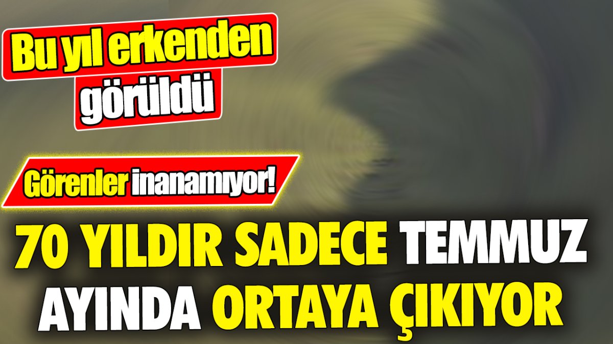 70 yıldır sadece Temmuz ayında ortaya çıkıyor ‘Bu yıl erkenden görüldü’ Görenler inanamıyor