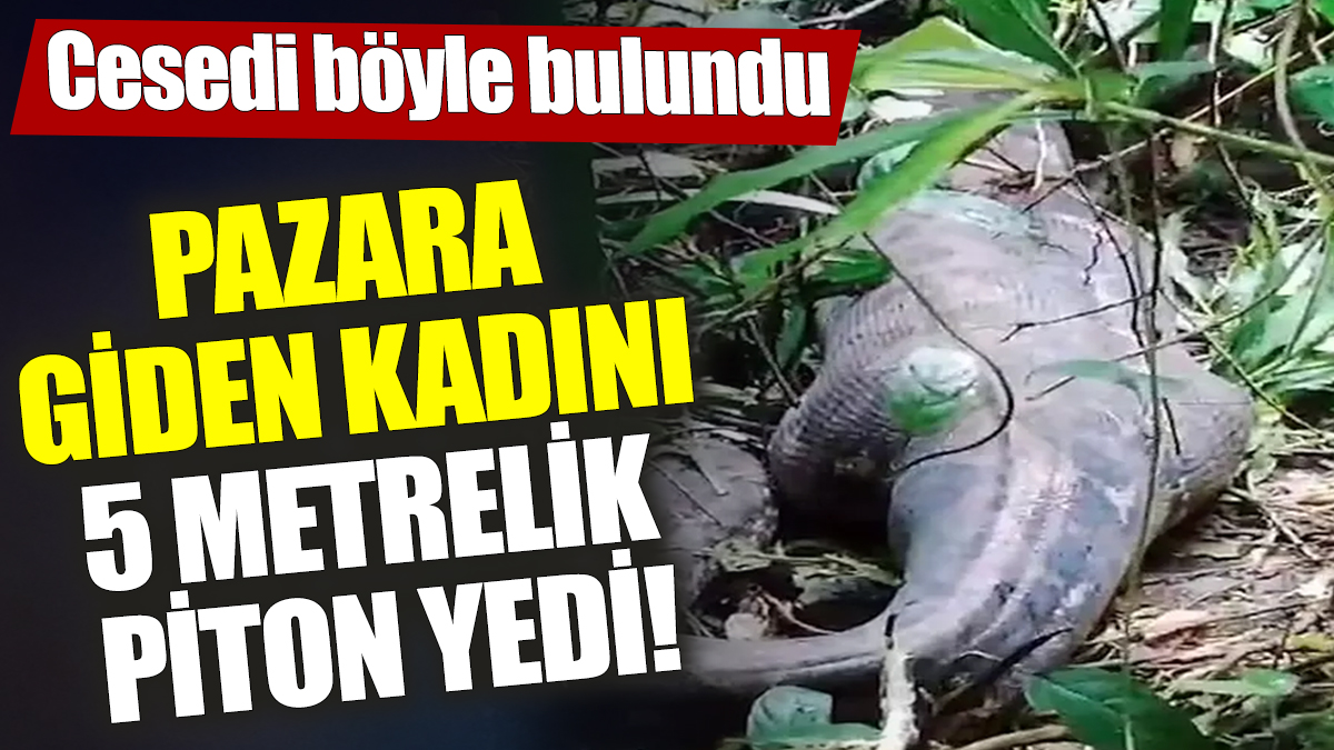 Pazara giden kadını 5 metrelik piton yedi! Cesedi böyle bulundu