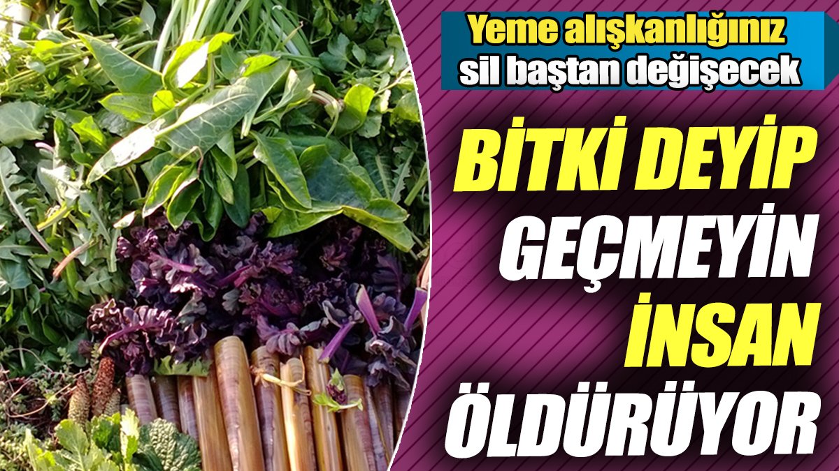 Bitki deyip geçmeyin insan öldürüyor! Yeme alışkanlığınız sil baştan değişecek