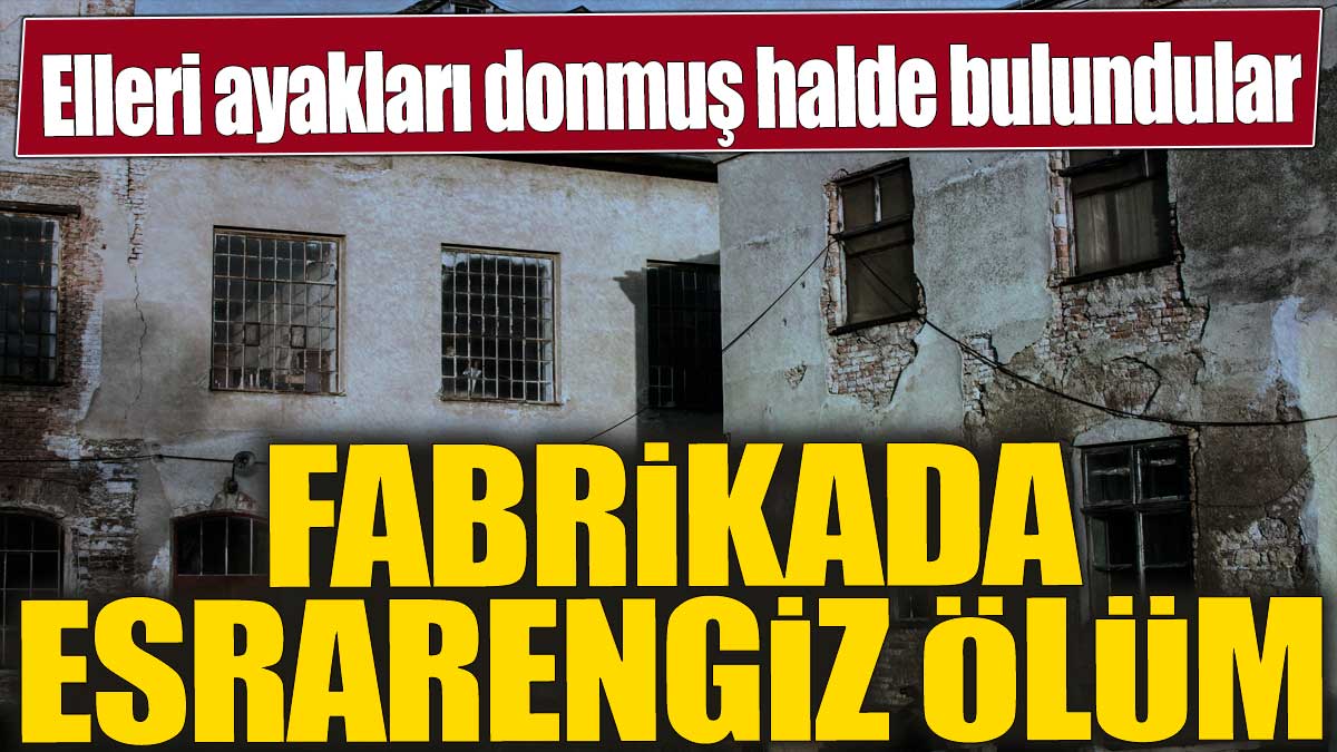 Elleri ayakları donmuş halde bulundular! Fabrikada esrarengiz ölüm