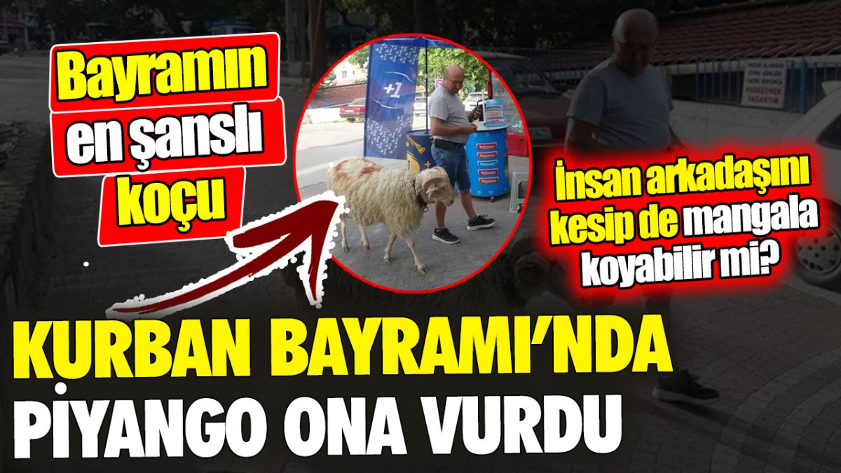 Kurban Bayramı’nda piyango ona vurdu ‘Bayramın "en şanslı koçu" İnsan arkadaşını kesip de mangala koyabilir mi?