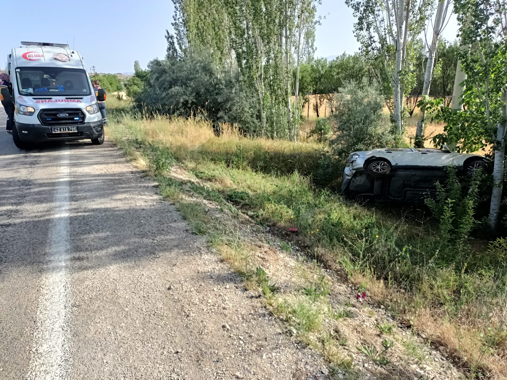 Yola fırlayan köpek kazaya sebep oldu: 1 yaralı